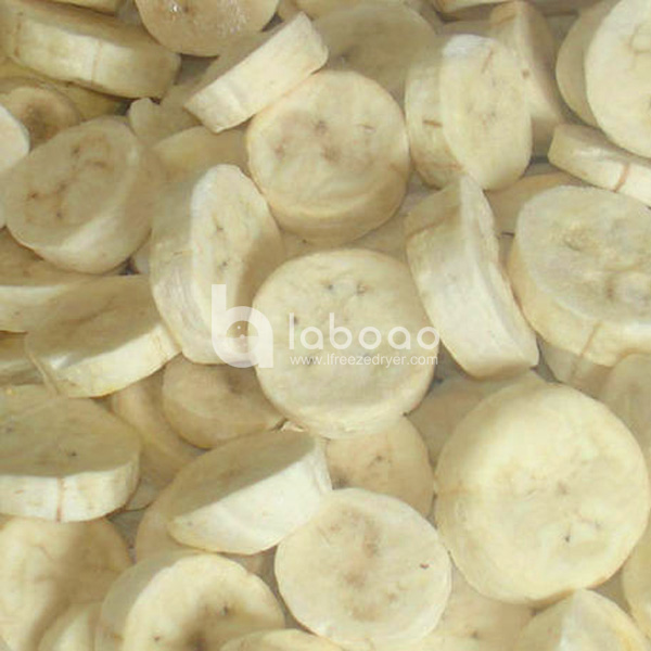 Example of freeze dried Banana in Food Freeze Dryer
