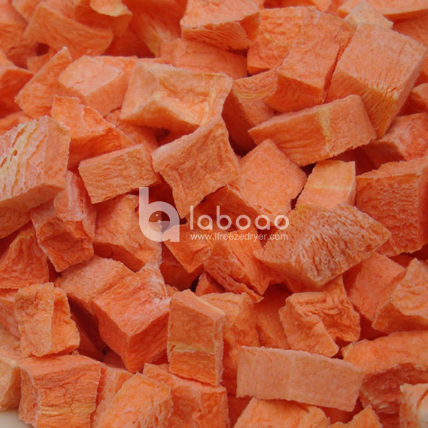 Example of freeze dried Carrot in Industrial Freeze Dryer