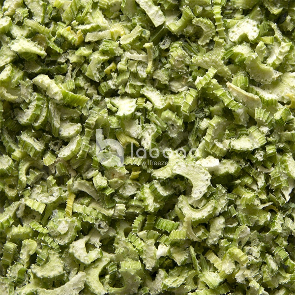 Example of freeze dried Celery in Industrial Freeze Dryer
