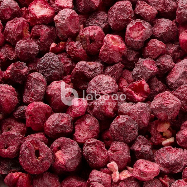 Example of freeze dried Cherry in Industrial Freeze Dryer