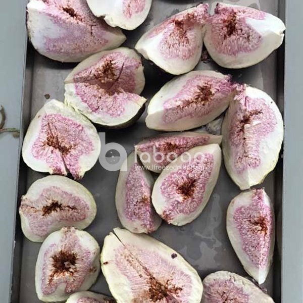 Example of freeze dried Fig in Industrial Freeze Dryer
