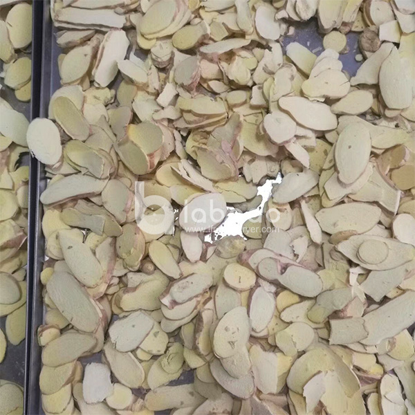 Example of freeze dried Ginger in Industrial Freeze Dryer