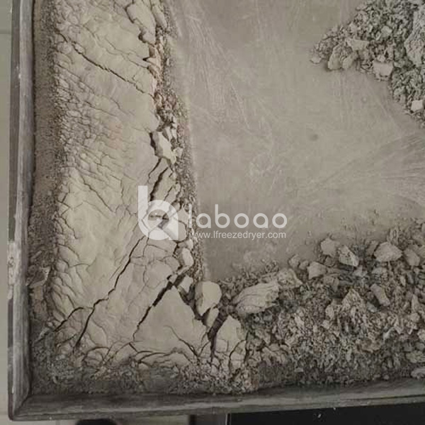 Example of freeze dried Gold Steel Powder in Pilot Freeze Dryer