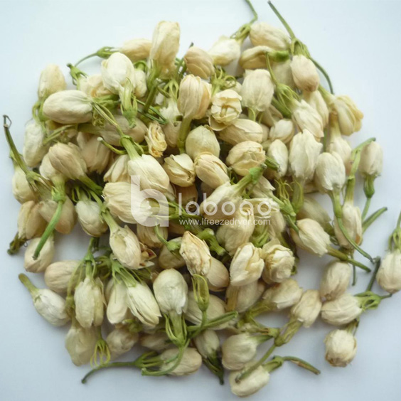 Example of freeze dried Jasmine in Industrial Freeze Dryer