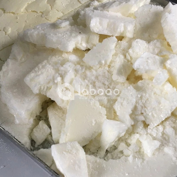 Example of freeze dried Milk in Food Freeze Dryer