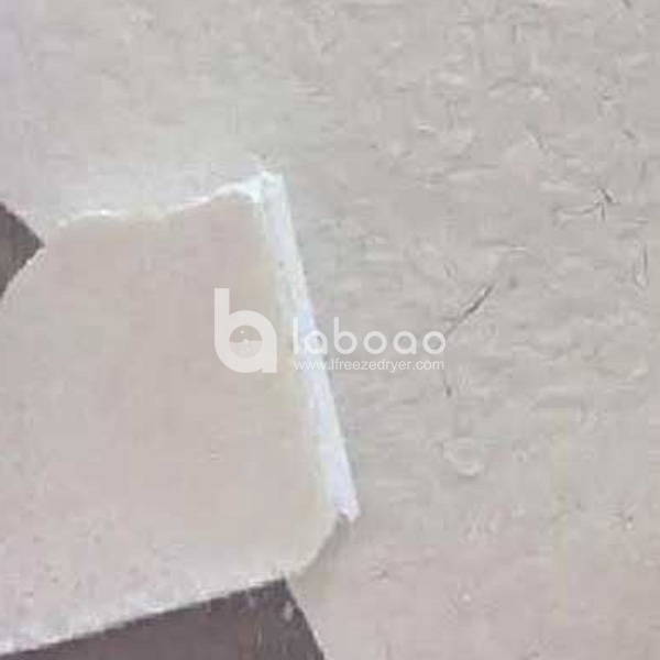 Example of freeze dried Probiotics in Laboratory Freeze Dryer
