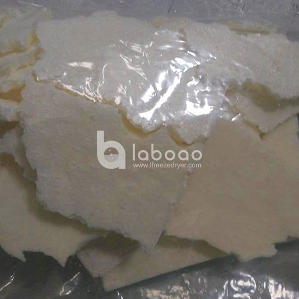Example of freeze dried Protein in Laboratory Freeze Dryer