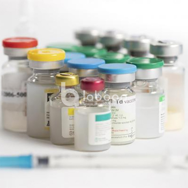 Example of freeze dried Vaccines in Laboratory Freeze Dryer