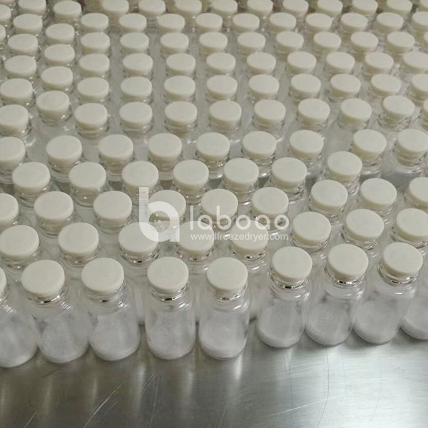 Example of freeze dried Medicine in Laboratory Freeze Dryer