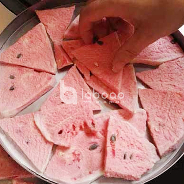 Example of Freeze Dried Watermelon