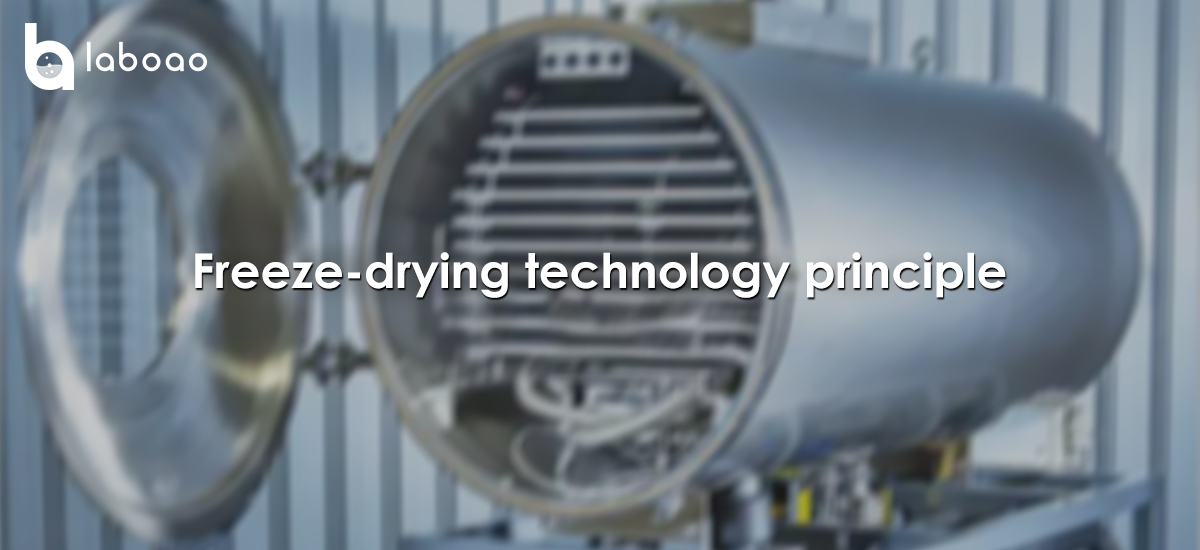 The Basic Principle Of Freeze Drying Technology
