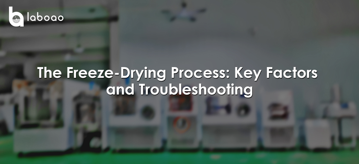 The Freeze-Drying Process: Key Factors And Troubleshooting