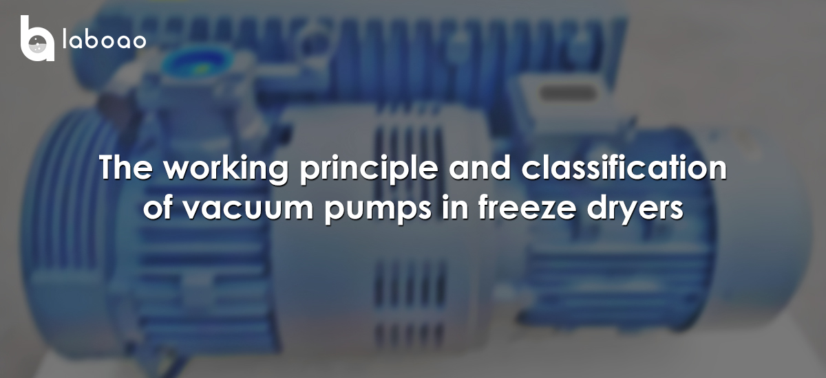 The Working Principle And Classification Of Vacuum Pumps In Freeze Dryers