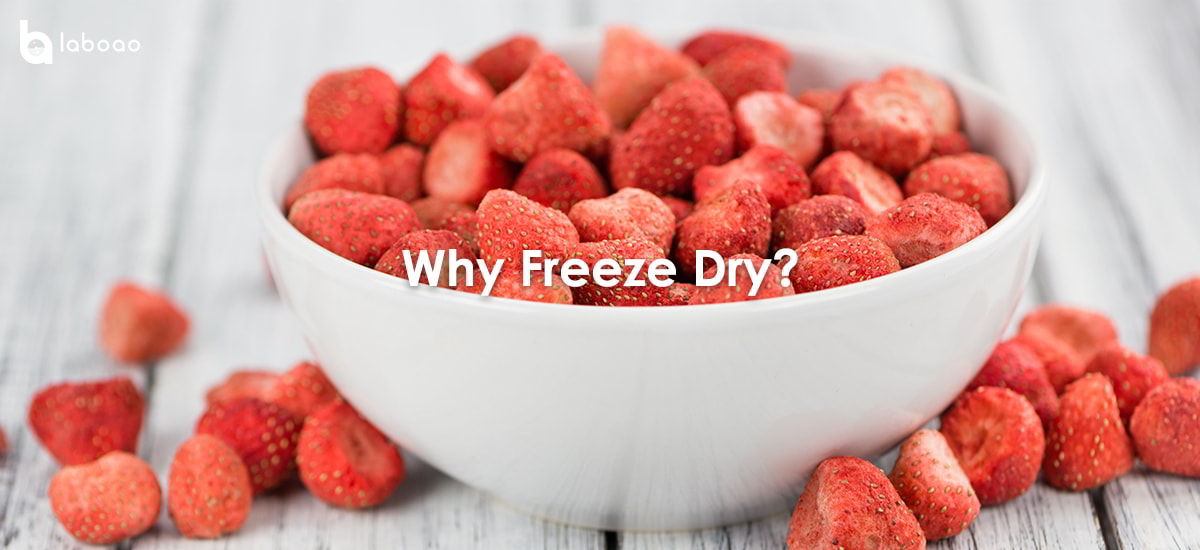Drying Advantages Of Freeze Dryer