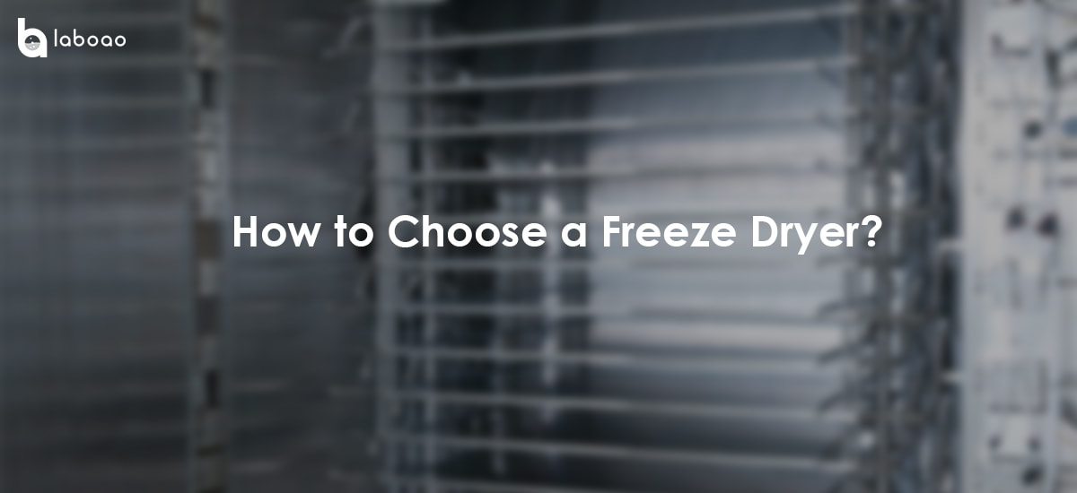 Which Parameters Should Be Paid Attention To When Choose A Freeze Dryer?