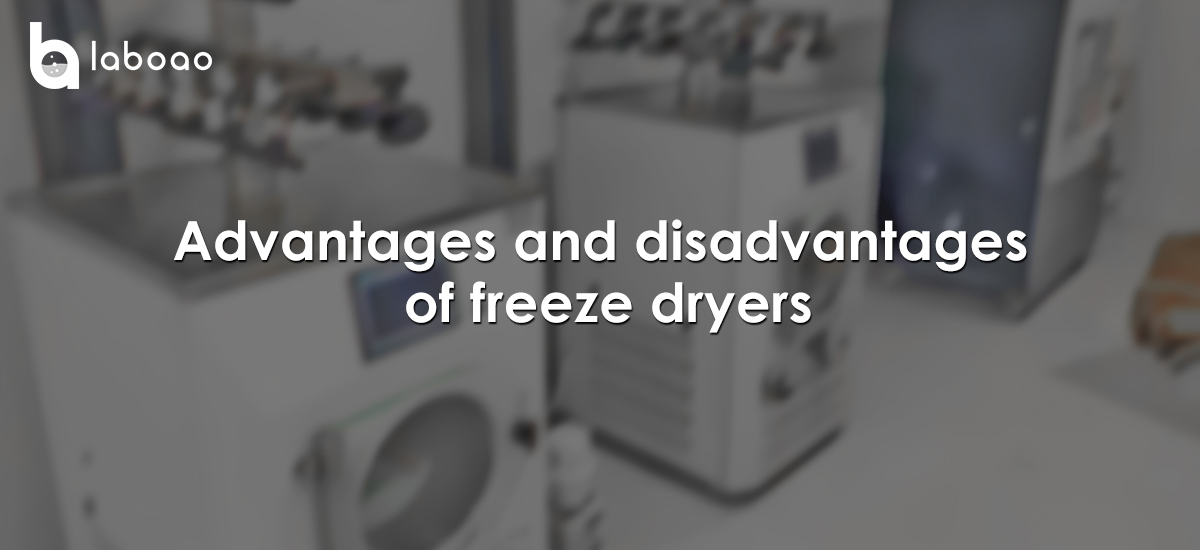 Advantages And Disadvantages Of Freeze Dryers