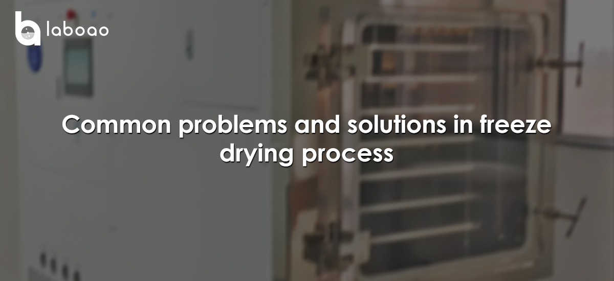 Common Problems And Solutions In Freeze Drying Process
