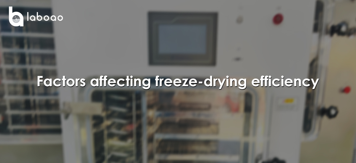 Factors Affecting Freeze-drying Efficiency