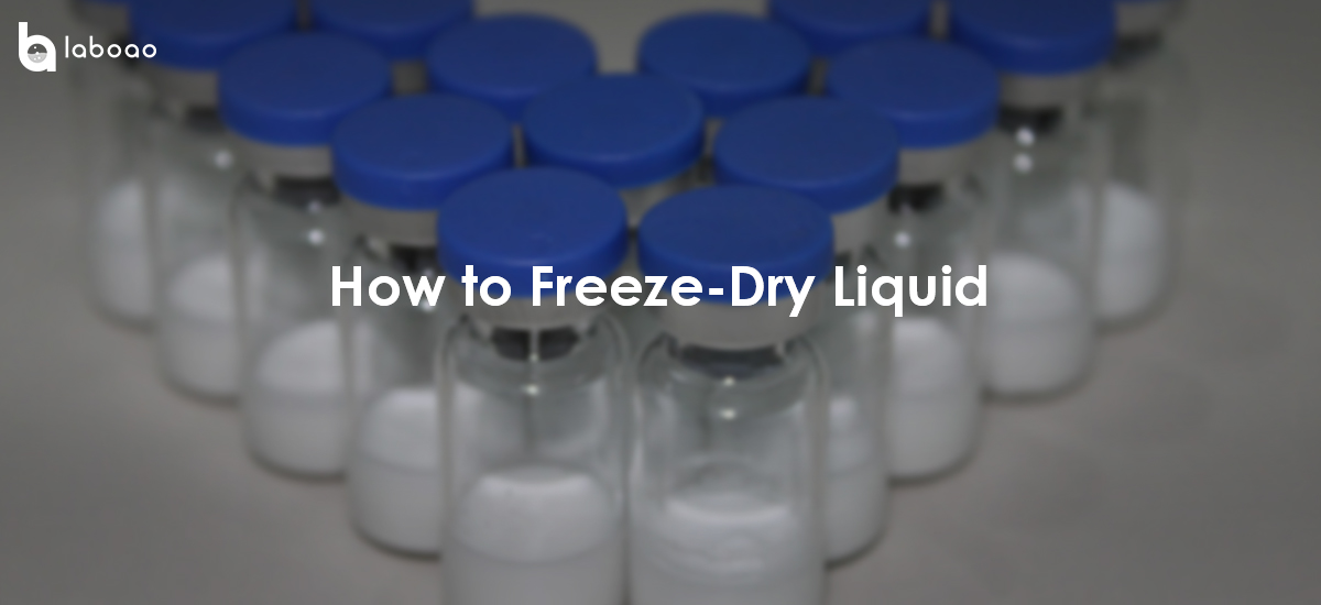 How Does the Freeze Dryer Freeze-Dry Liquid?