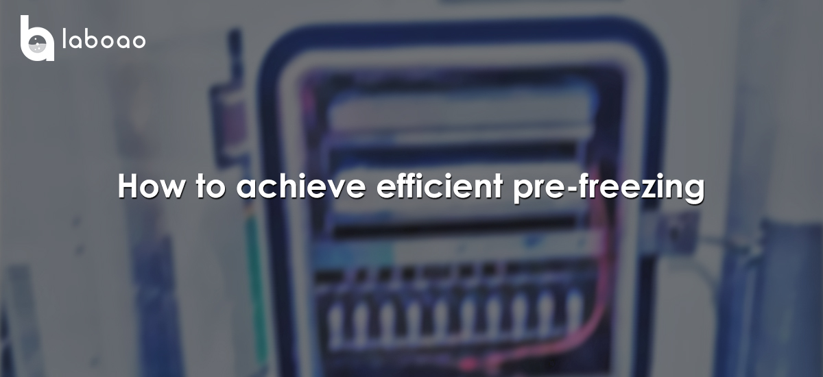 How To Achieve Efficient Pre-freezing?