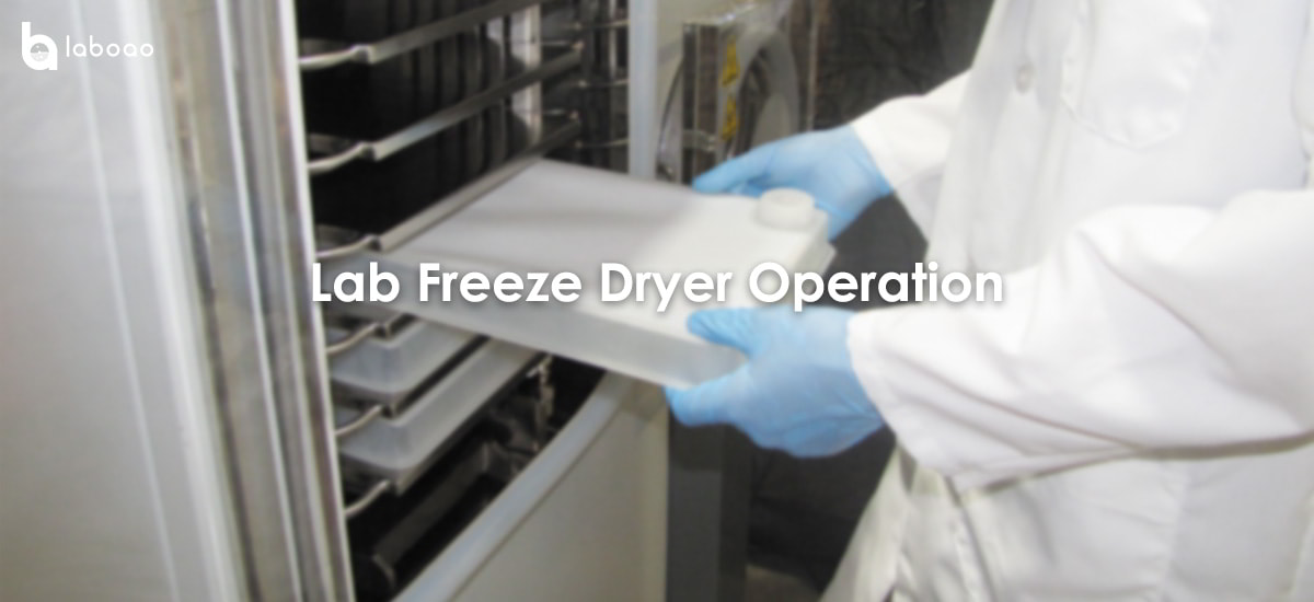 How To Use The Laboratory Vacuum Freeze Dryer