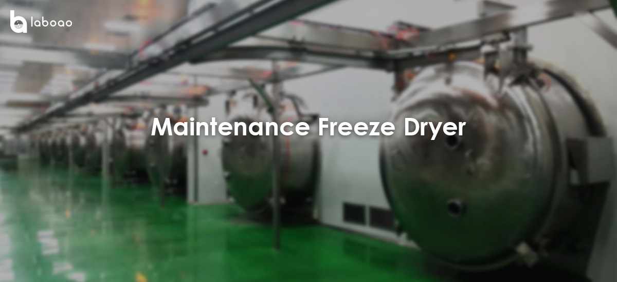 Maintenance Method Of Freeze Dryer