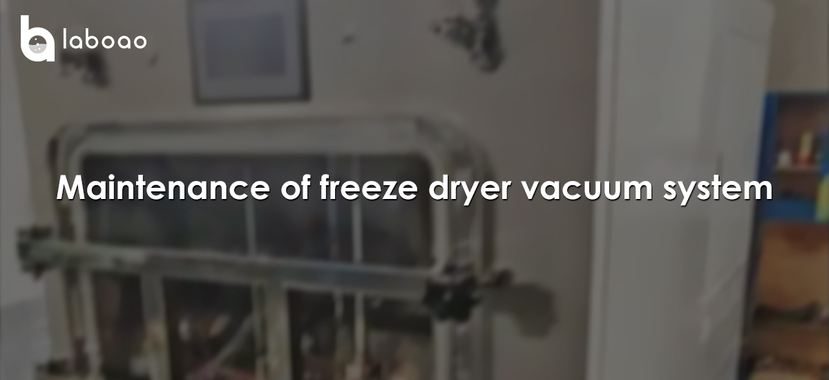 Maintenance And Fault Diagnosis Of Freeze Dryer Vacuum System
