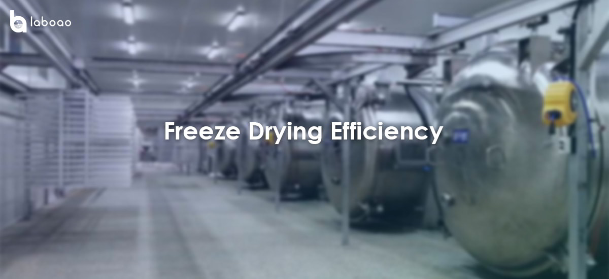 What Are The Factors That Affect The Speed Of The Freeze Dryer?