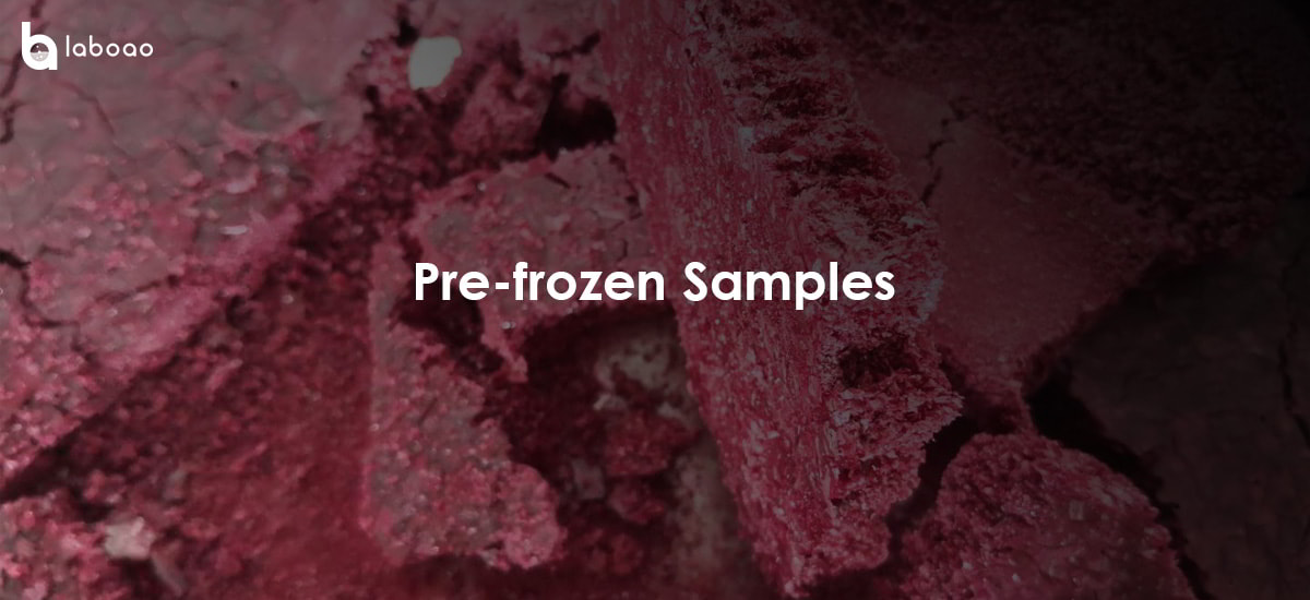 Why Should The Samples Of The Lyophilizer Be Pre-frozen?