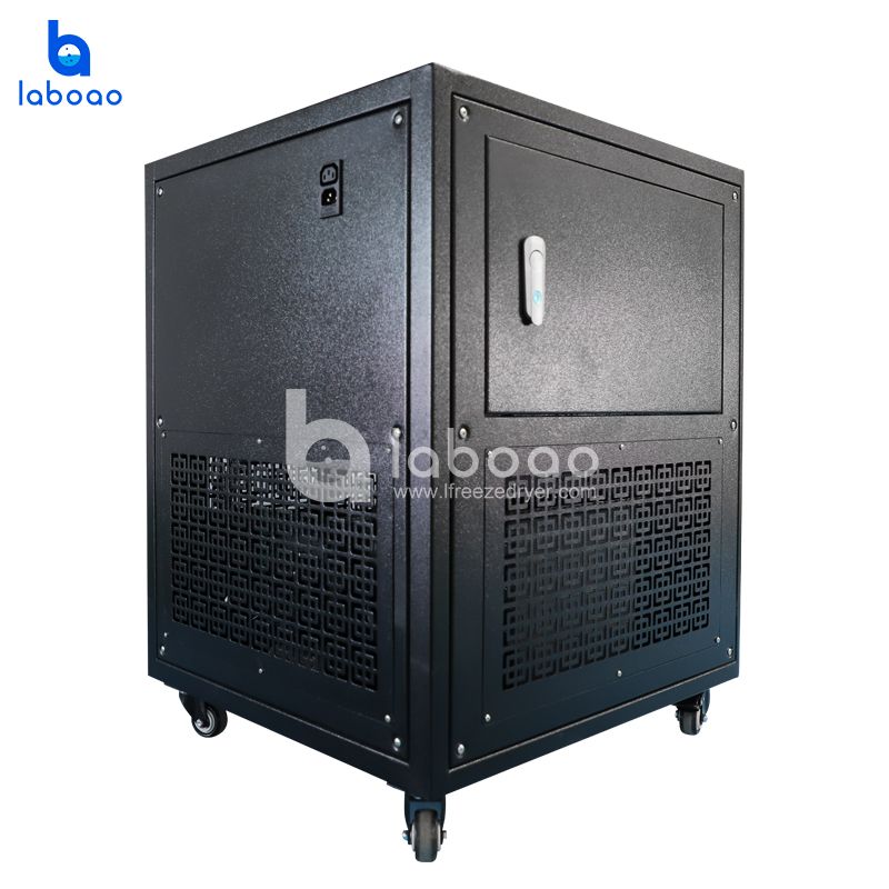 1-2 Kg Mini Food Freeze Dryer For Home Use