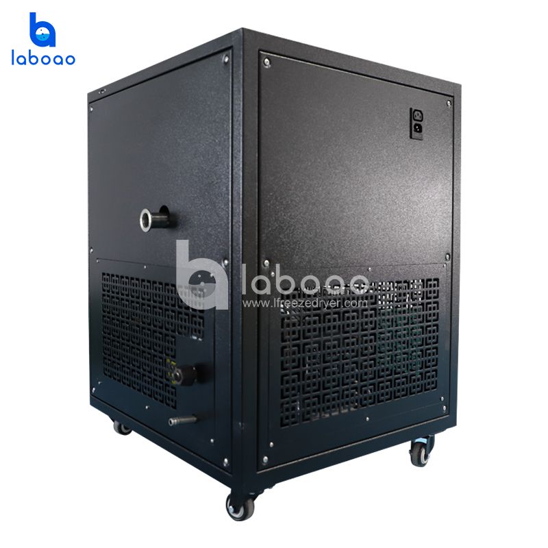 1-2 Kg Mini Food Freeze Dryer For Home Use