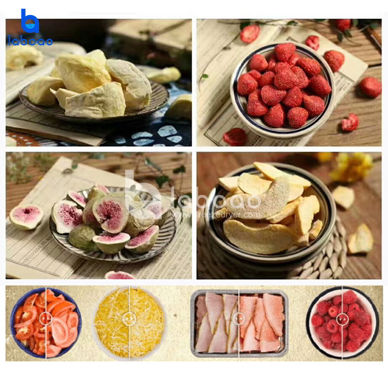 1-2 Kg Mini Food Freeze Dryer For Home Use