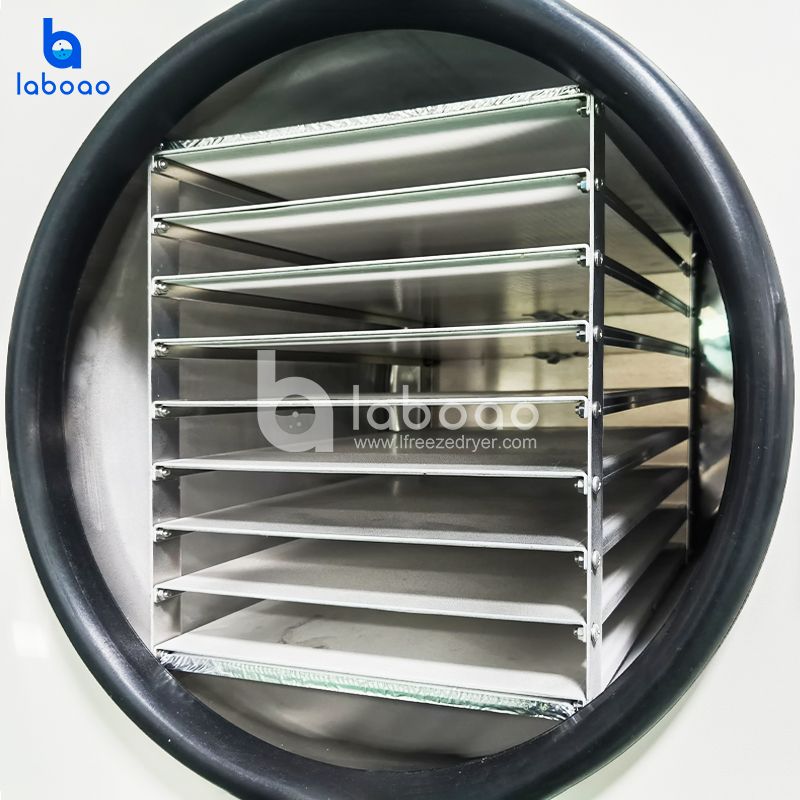 10-12kg Houseused Food Freeze Dryer For Fruit