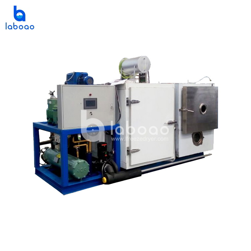 100kg Large Scale Meat Freeze Dryer