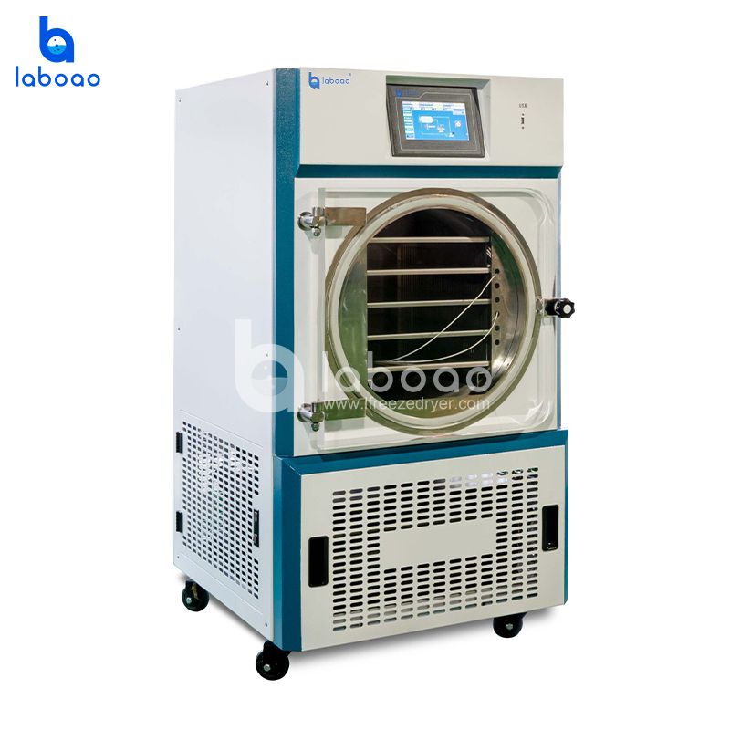 10kg Large Household Vacuum Freeze Dryer For Food