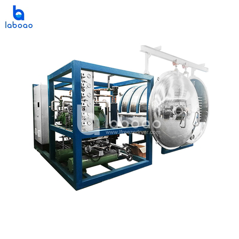 150kg Large Scale Vacuum Freeze Dryer Lyophilizer For Vegetables