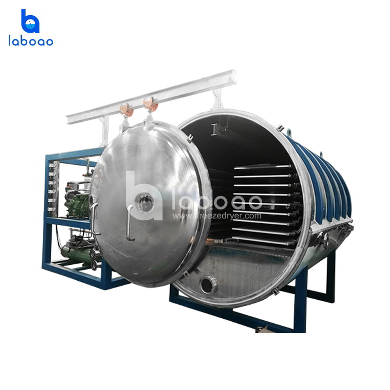 Fruits And Vegetables Vacuum Freeze Drying Machine Manufacturer