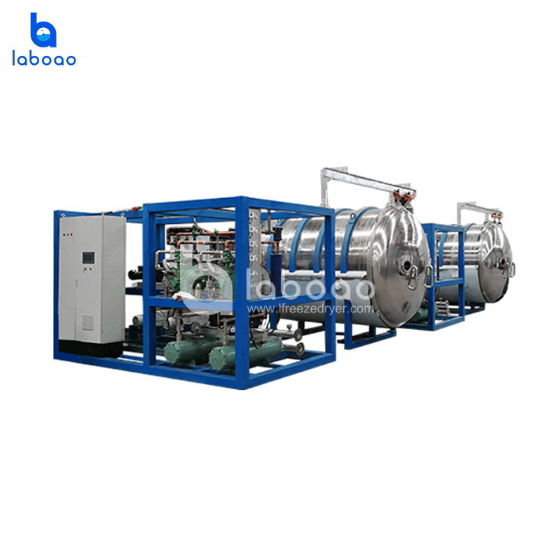 150kg Large Scale Vacuum Freeze Dryer Lyophilizer For Vegetables