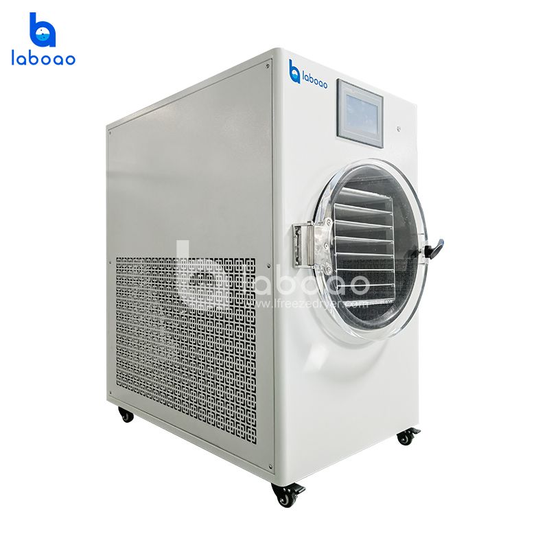 15kg Large Household Vacuum Freeze Dryer For Food