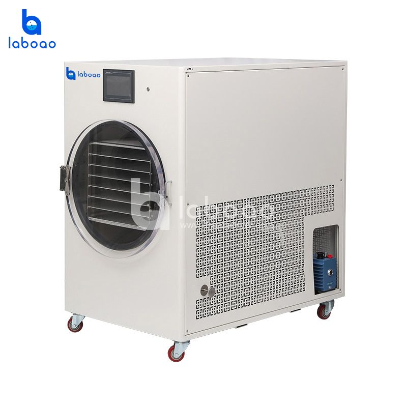 25kg Large Household Vacuum Freeze Dryer For Food