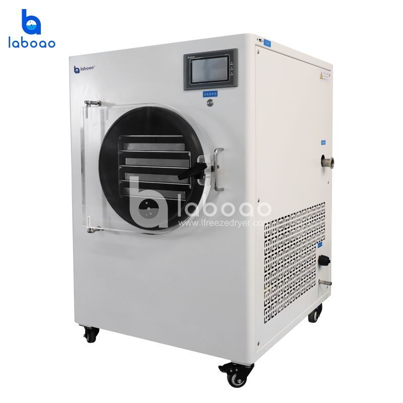 4-6kg Small Food Freeze Dryer For Fruits