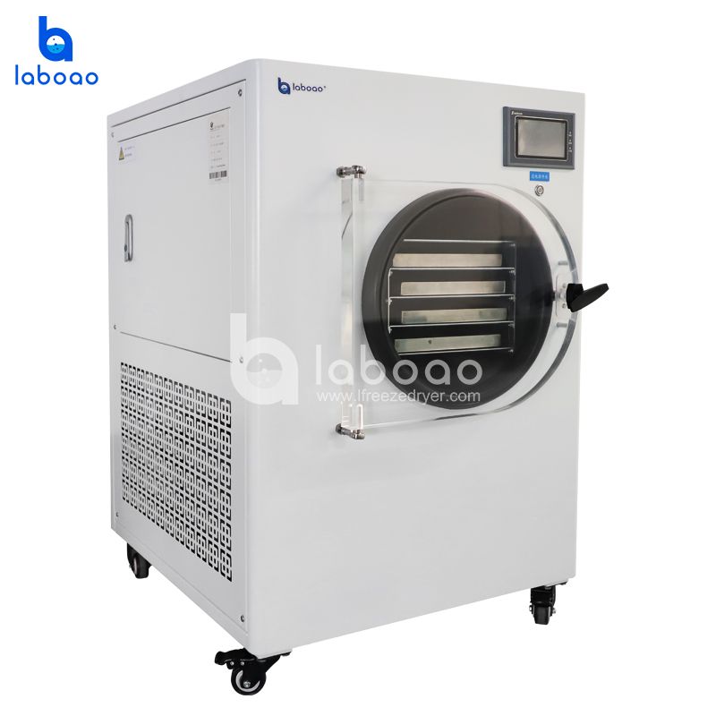 4-6kg Small Food Freeze Dryer For Fruits