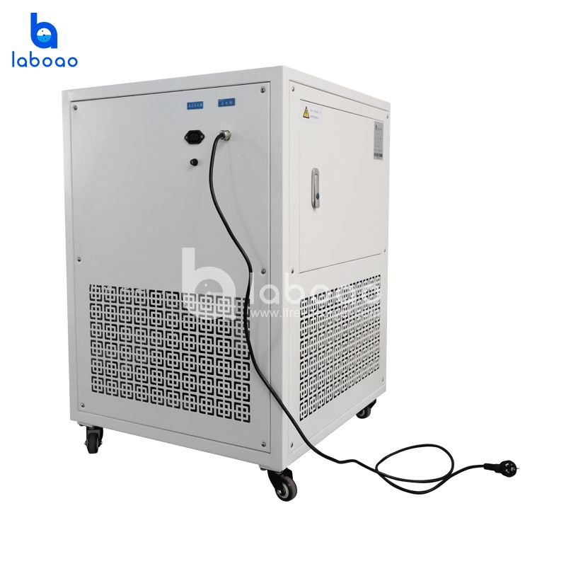 4-6kg Small Food Freeze Dryer For Fruits