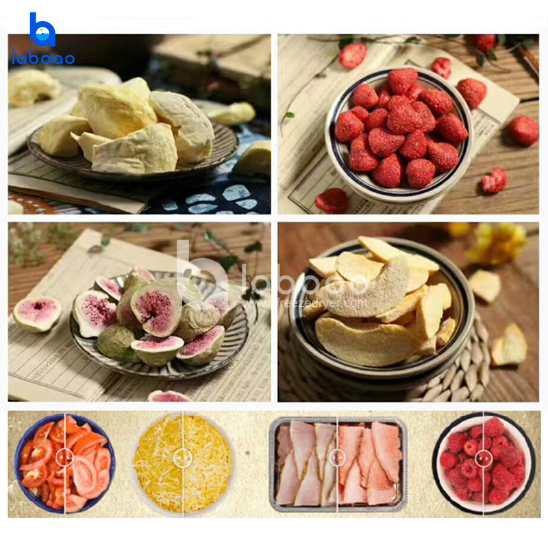 4-6kg Small Food Freeze Dryer For Fruits