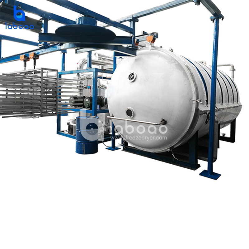 500kg Large Vacuum Freeze Dryer Machine For Fruits