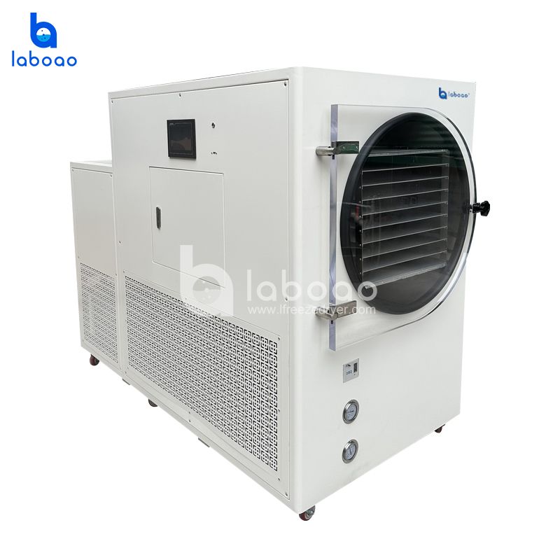 50kg-80kg Freeze Dryer For Canndy Fruit Vegetables Pet Food