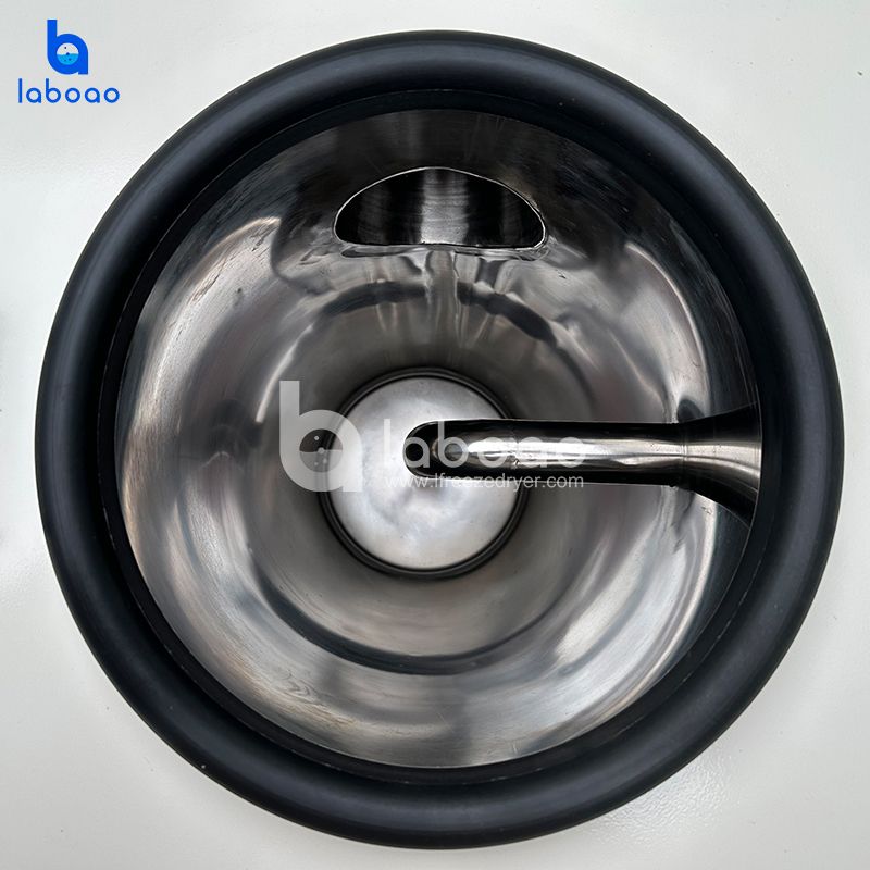 50kg-80kg Freeze Dryer For Canndy Fruit Vegetables Pet Food