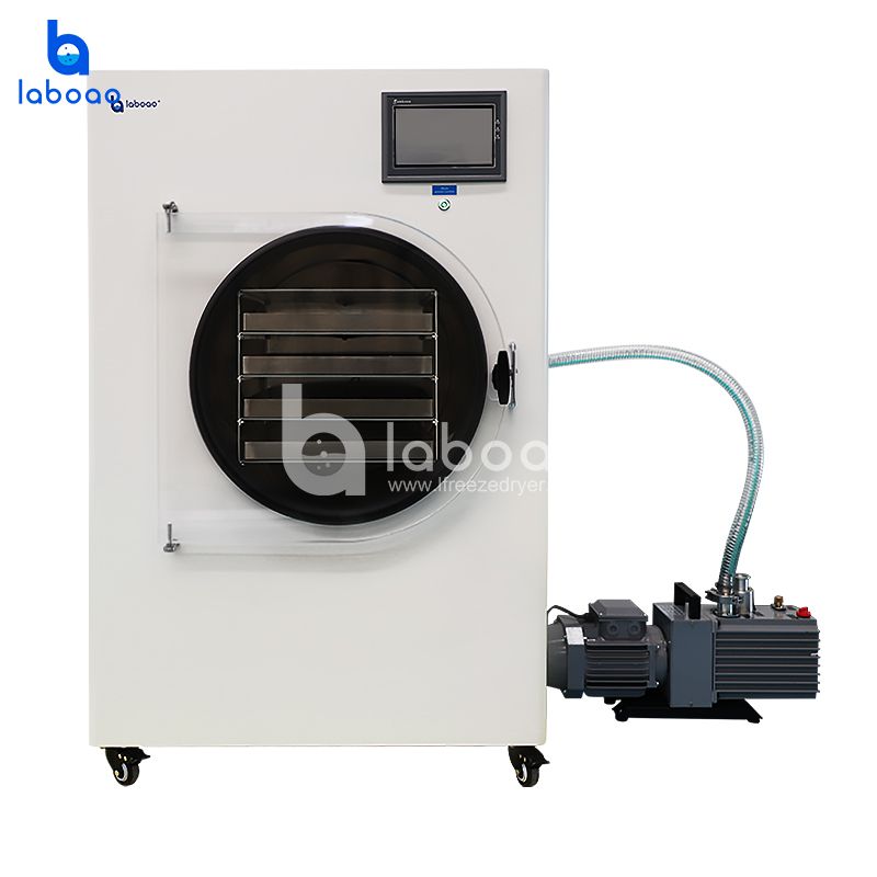 6-7kg Food Freeze Dryer Lyophilizer For Vegetables And Fruits