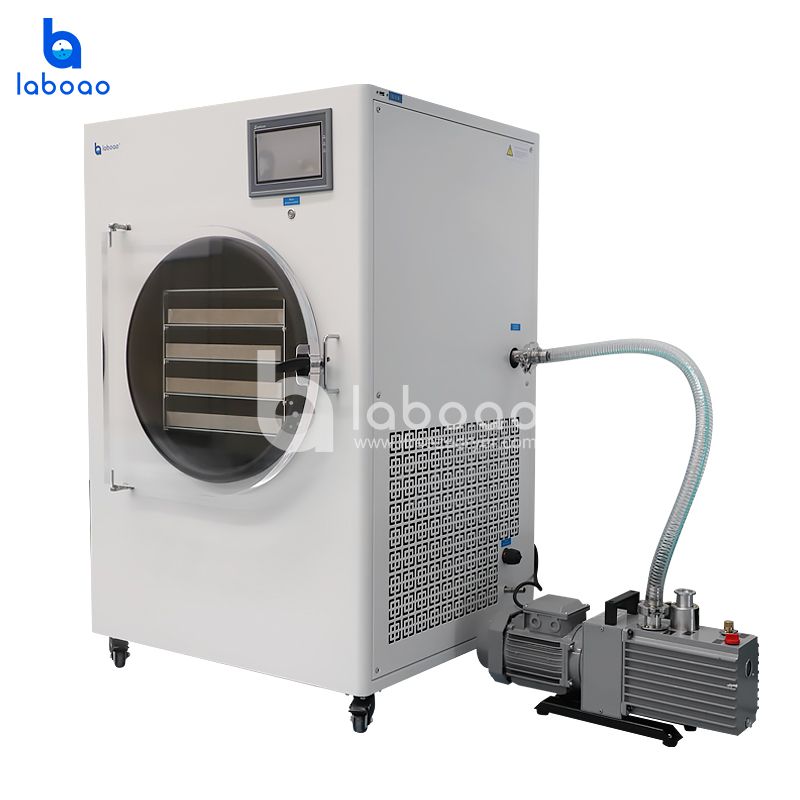 6-7kg Food Freeze Dryer Lyophilizer For Vegetables And Fruits