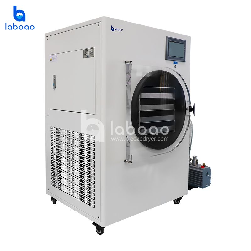 6-7kg Food Freeze Dryer Lyophilizer For Vegetables And Fruits